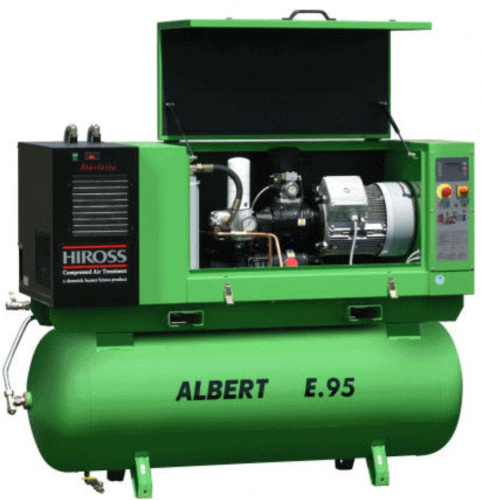 ALBERT E95